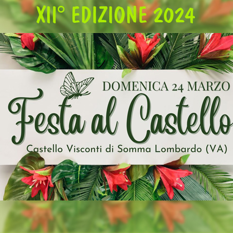 Festa al Castello Visconti 2024