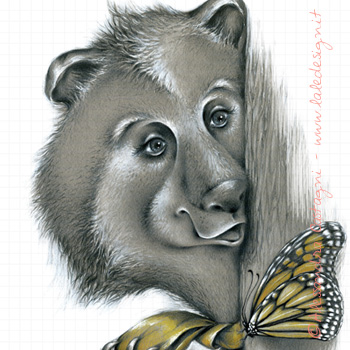 Papillon